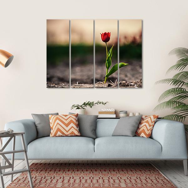 Spring Flowers In Holland Canvas Wall Art-4 Horizontal-Gallery Wrap-34" x 24"-Tiaracle