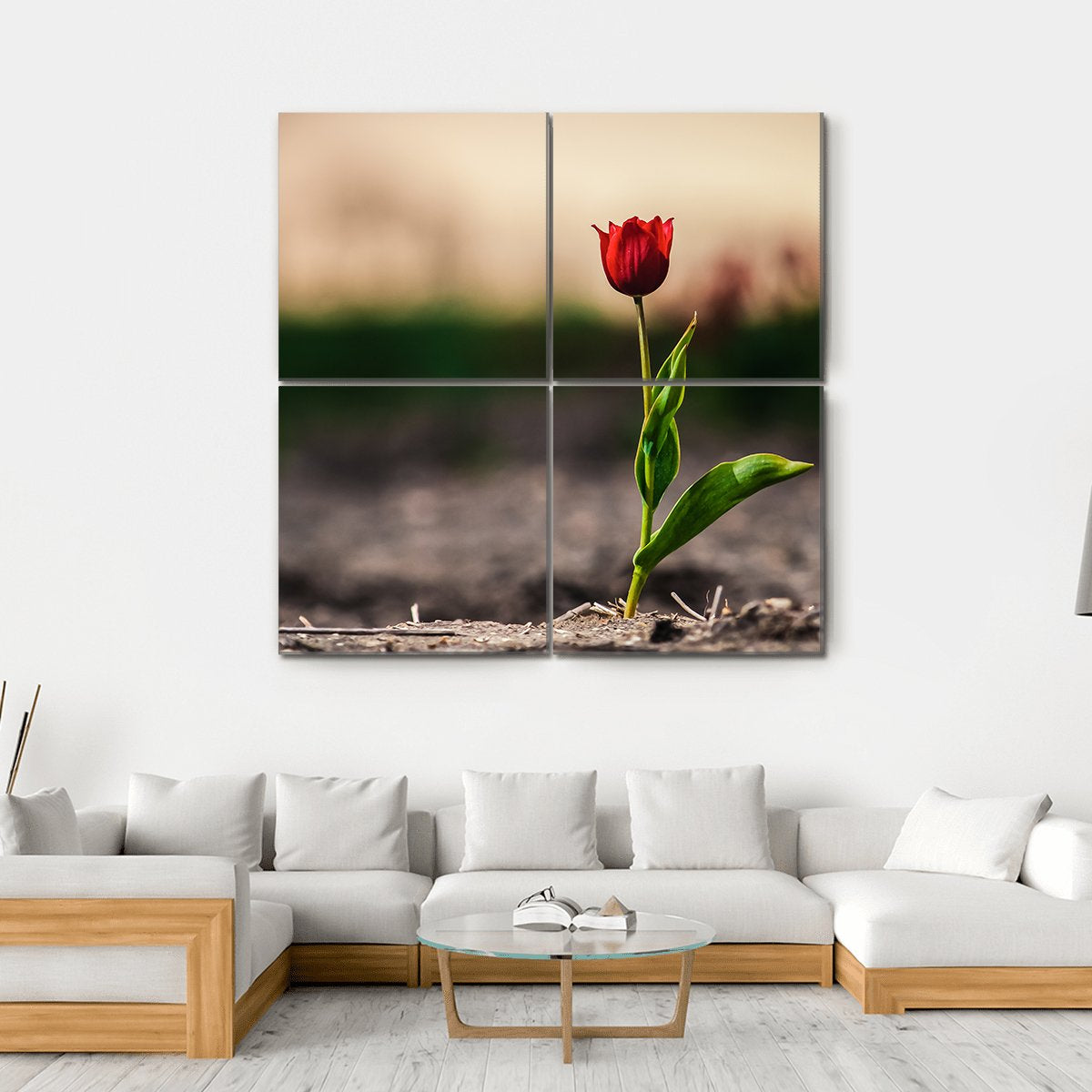 Spring Flowers In Holland Canvas Wall Art-4 Square-Gallery Wrap-17" x 17"-Tiaracle