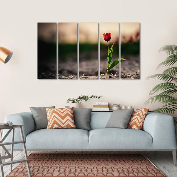 Spring Flowers In Holland Canvas Wall Art-5 Horizontal-Gallery Wrap-22" x 12"-Tiaracle