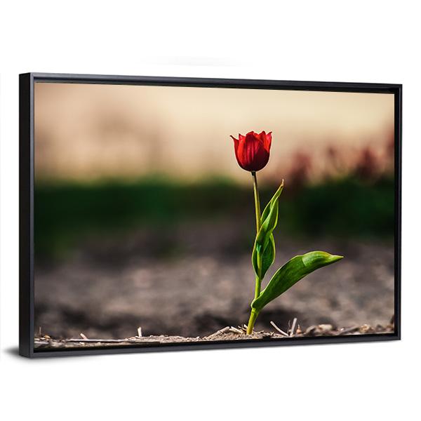 Spring Flowers In Holland Canvas Wall Art-3 Horizontal-Gallery Wrap-25" x 16"-Tiaracle