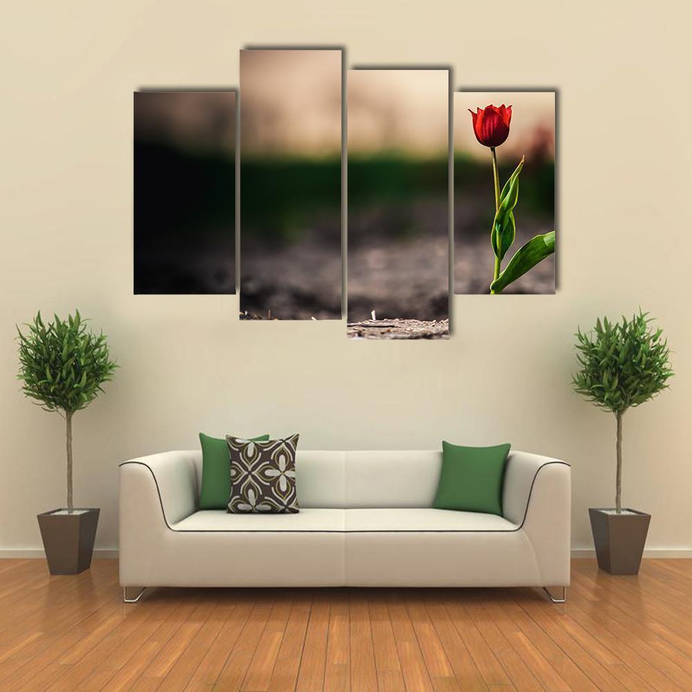 Spring Flowers In Holland Canvas Wall Art-4 Pop-Gallery Wrap-50" x 32"-Tiaracle