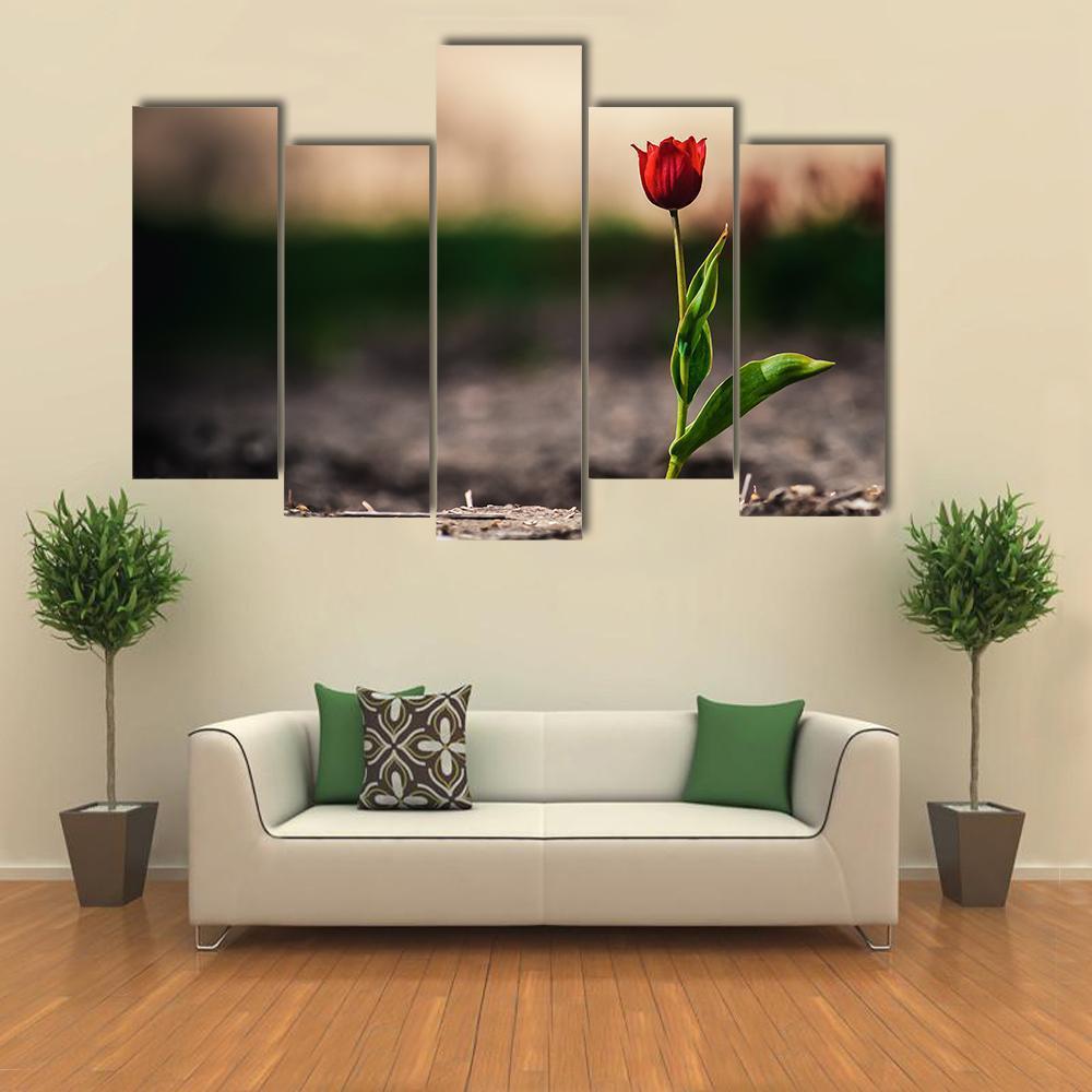 Spring Flowers In Holland Canvas Wall Art-5 Pop-Gallery Wrap-47" x 32"-Tiaracle
