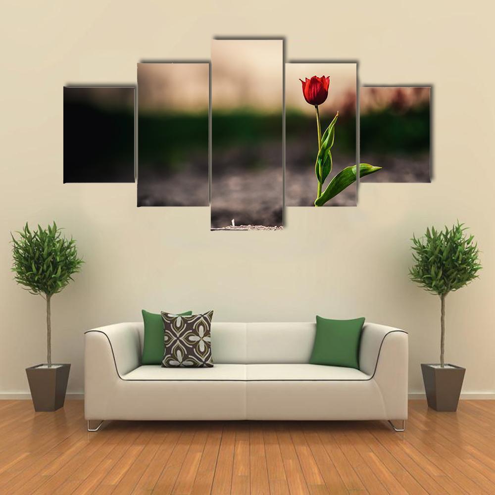 Spring Flowers In Holland Canvas Wall Art-5 Star-Gallery Wrap-62" x 32"-Tiaracle