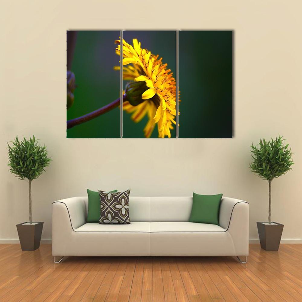 Spring In Bloom Canvas Wall Art-3 Horizontal-Gallery Wrap-37" x 24"-Tiaracle