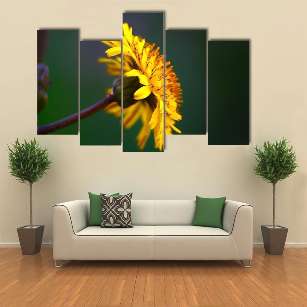 Spring In Bloom Canvas Wall Art-5 Pop-Gallery Wrap-47" x 32"-Tiaracle