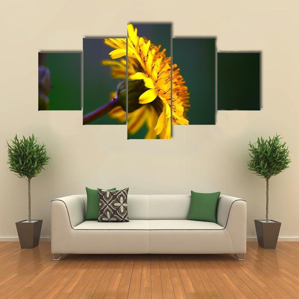 Spring In Bloom Canvas Wall Art-5 Star-Gallery Wrap-62" x 32"-Tiaracle