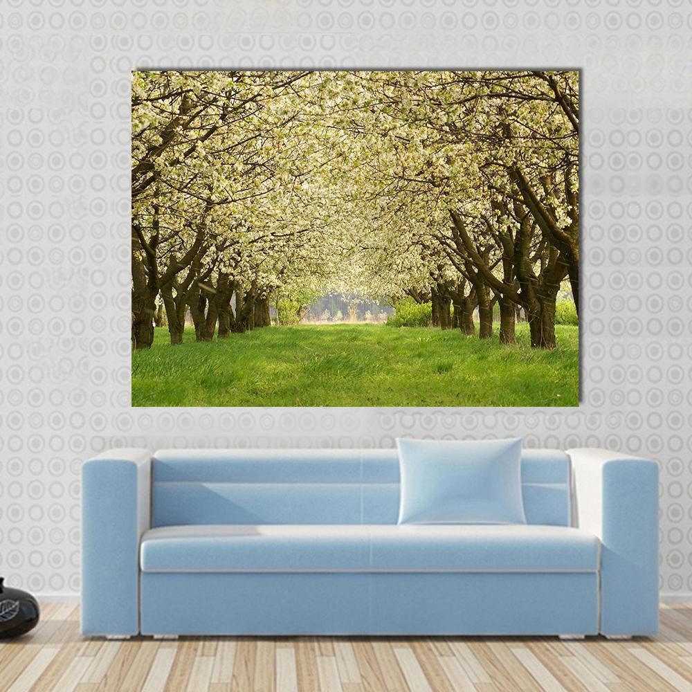 Spring in Cherry Orchard Poland Canvas Wall Art in white, yellow and green, single panel hung on a wall