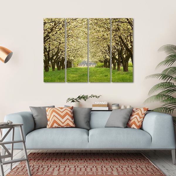 Spring Cherry Orchard with Tree-lined Path Canvas Wall Art in white, brown and green, hung on a wall