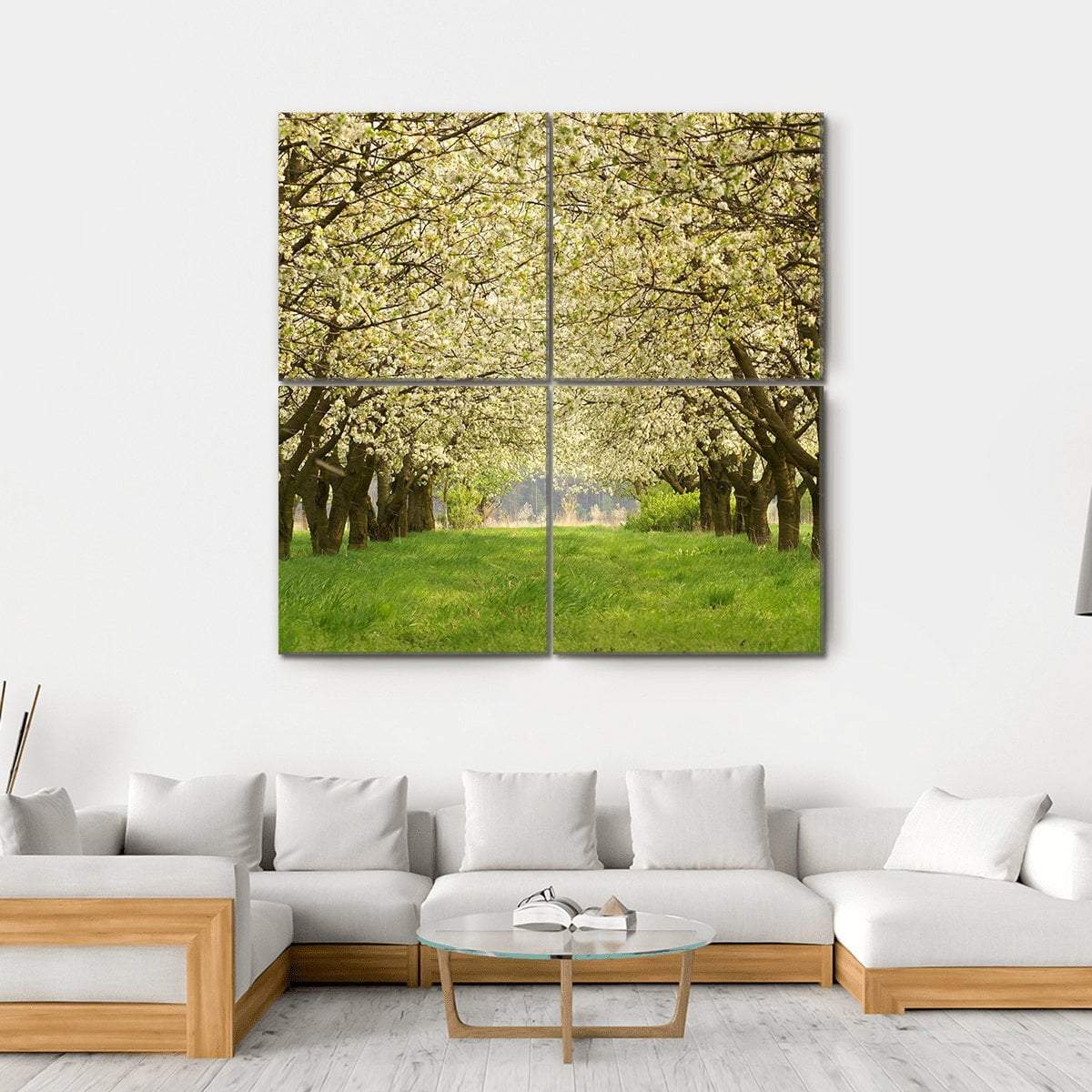 Spring Cherry Orchard with Tree-lined Path Canvas Wall Art in white, brown and green, hung on a wall