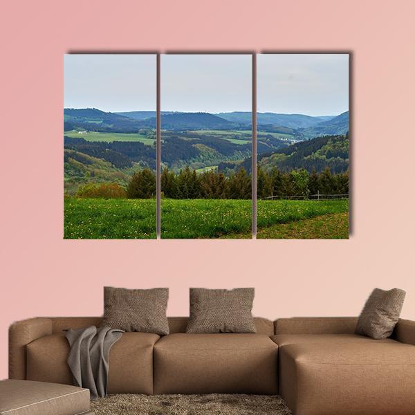 Spring In The Eifel Canvas Wall Art-5 Pop-Gallery Wrap-47" x 32"-Tiaracle