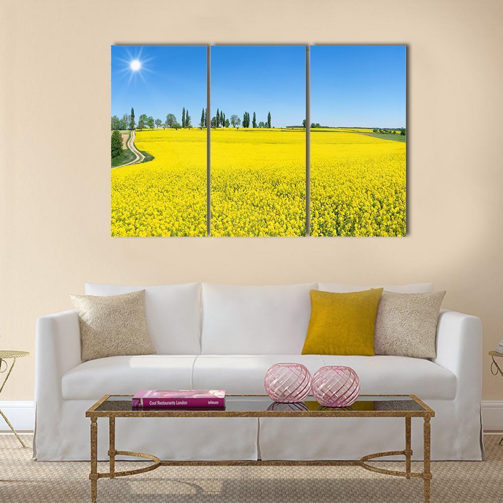 Spring Landscape With Blooming Rapeseed Canvas Wall Art-3 Horizontal-Gallery Wrap-37" x 24"-Tiaracle
