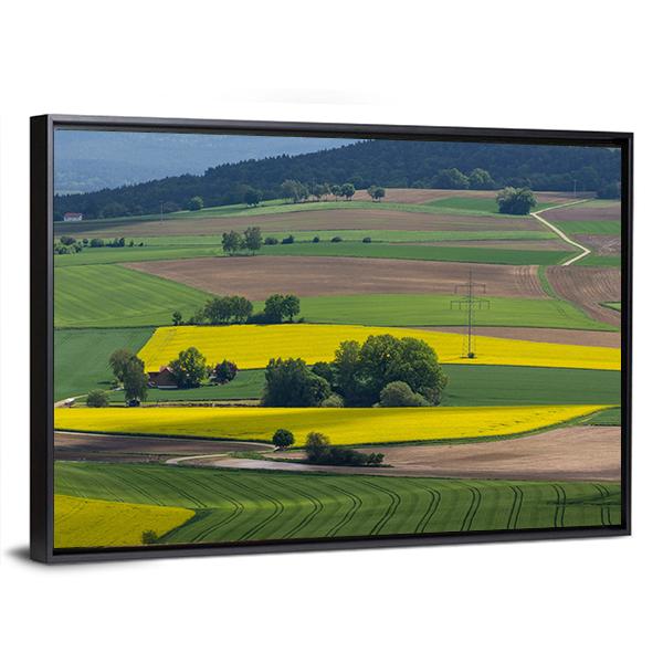 Spring Landscape With Canola Fields In Bavaria Canvas Wall Art-3 Horizontal-Gallery Wrap-25&quot; x 16&quot;-Tiaracle