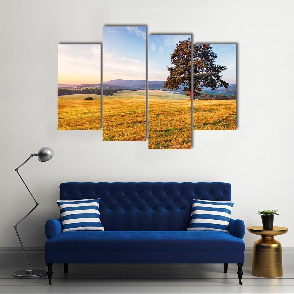 Spring Landscape With Tree And Sun Canvas Wall Art-4 Pop-Gallery Wrap-50" x 32"-Tiaracle