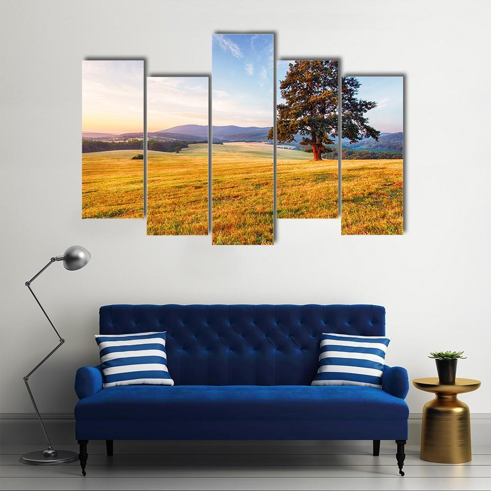 Spring Landscape With Tree And Sun Canvas Wall Art-5 Pop-Gallery Wrap-47" x 32"-Tiaracle