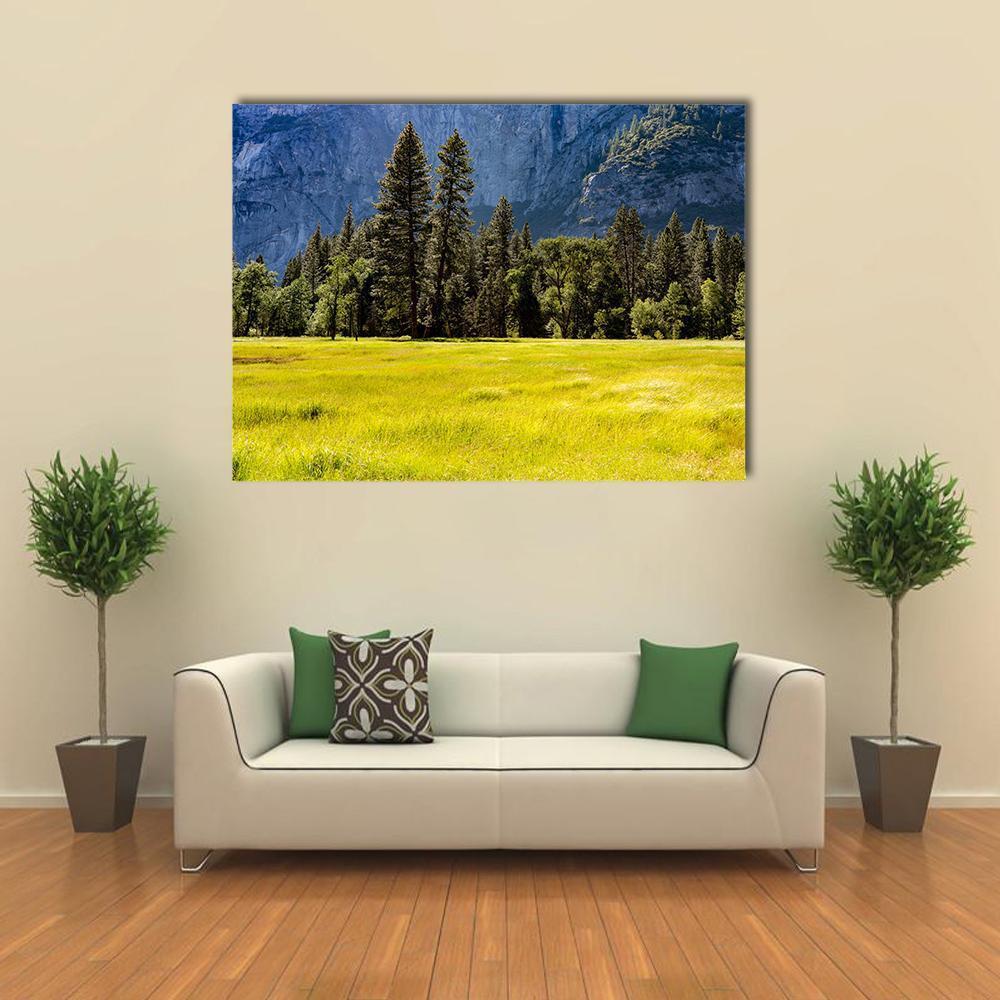 Spring Meadow At Yosemite National Park Canvas Wall Art-1 Piece-Gallery Wrap-48" x 32"-Tiaracle