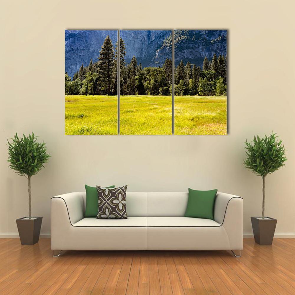 Spring Meadow At Yosemite National Park Canvas Wall Art-3 Horizontal-Gallery Wrap-37" x 24"-Tiaracle