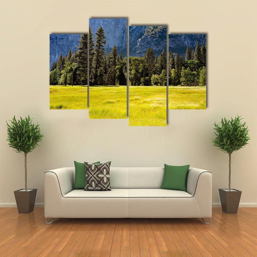 Spring Meadow At Yosemite National Park Canvas Wall Art-4 Pop-Gallery Wrap-50" x 32"-Tiaracle