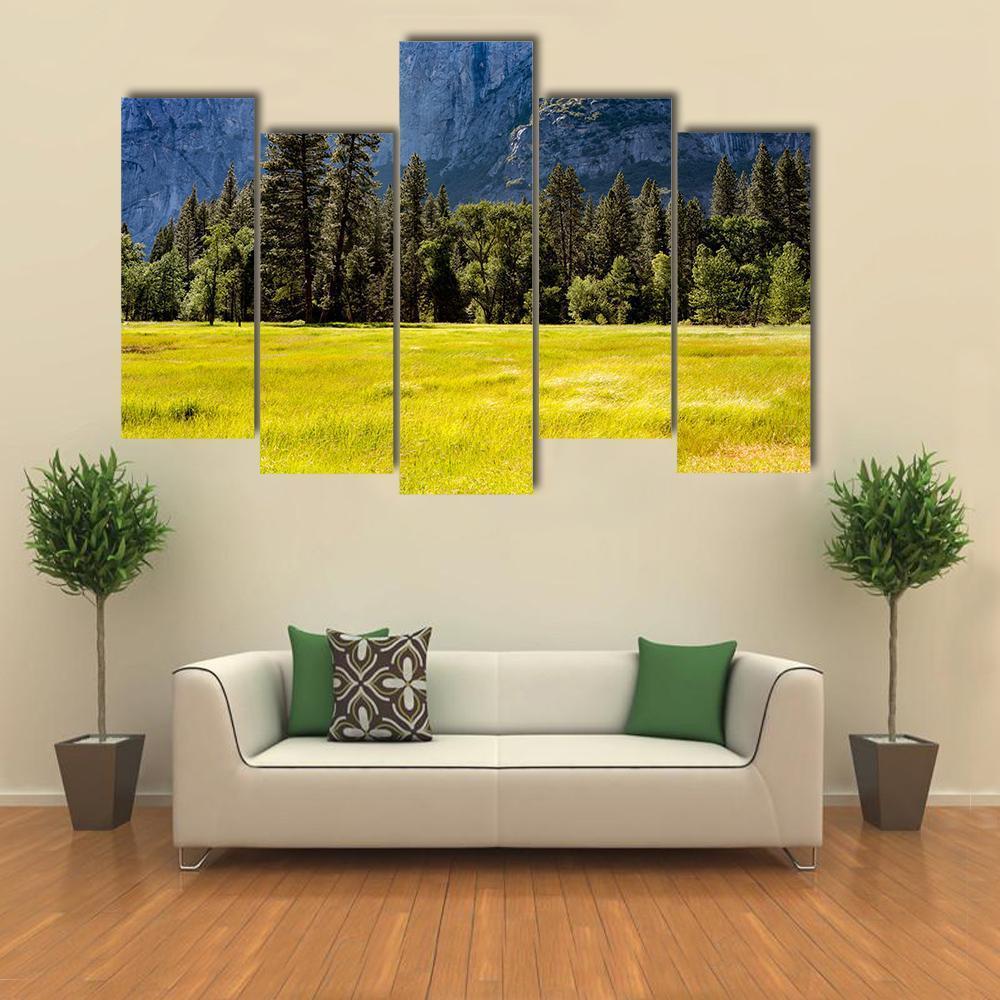 Spring Meadow At Yosemite National Park Canvas Wall Art-5 Pop-Gallery Wrap-47" x 32"-Tiaracle