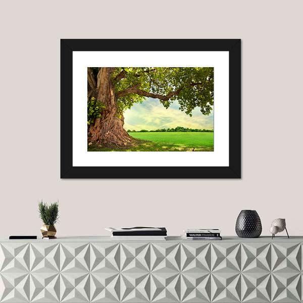 Spring Meadow With Big Tree Canvas Wall Art-1 Piece-Framed Print-20" x 16"-Tiaracle