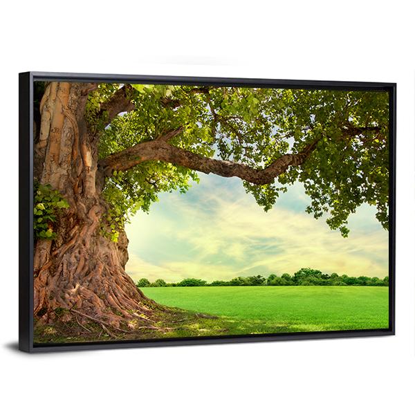 Spring Meadow With Big Tree Canvas Wall Art-3 Horizontal-Gallery Wrap-25" x 16"-Tiaracle