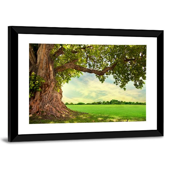 Spring Meadow With Big Tree Canvas Wall Art-3 Horizontal-Gallery Wrap-25" x 16"-Tiaracle