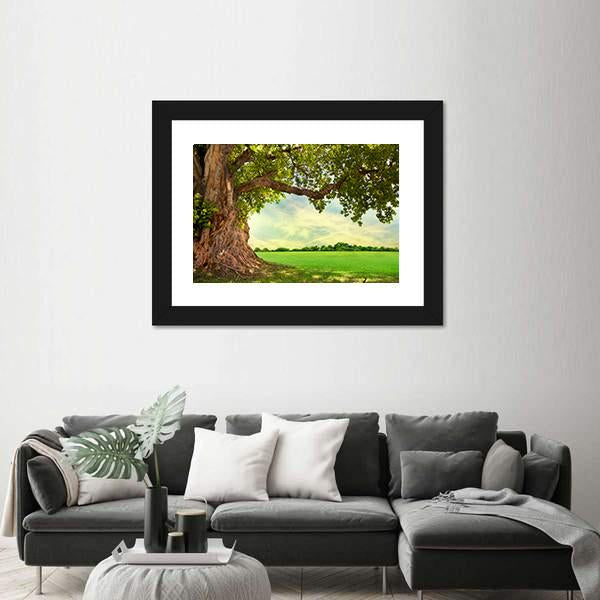 Spring Meadow With Big Tree Canvas Wall Art-3 Horizontal-Gallery Wrap-25" x 16"-Tiaracle