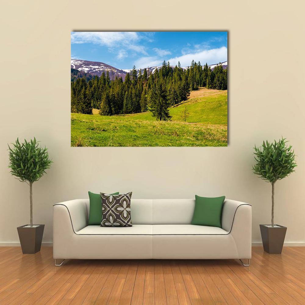 Spruce Forest on Grassy Hills Canvas Wall Art in white, green and blue, single panel hung on a wall