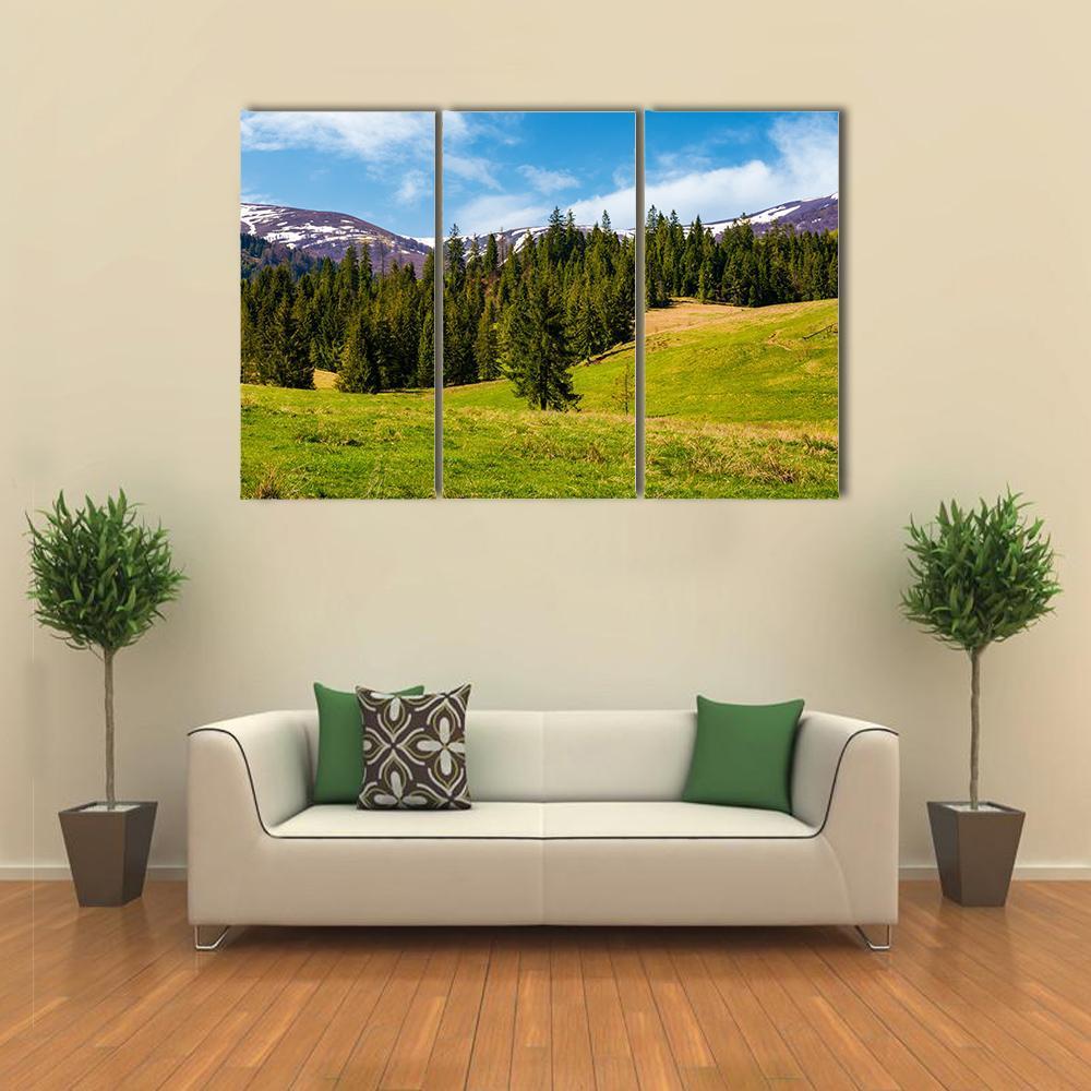 Spruce Forest On The Grassy Hills Canvas Wall Art-3 Horizontal-Gallery Wrap-37" x 24"-Tiaracle