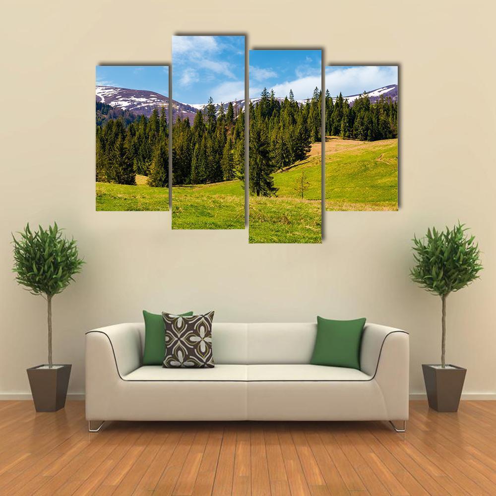 Spruce Forest On The Grassy Hills Canvas Wall Art-4 Pop-Gallery Wrap-50" x 32"-Tiaracle