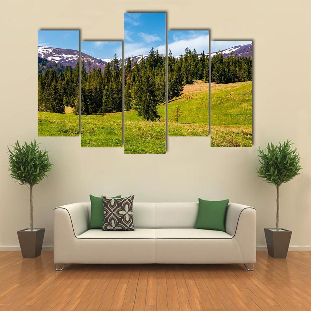Spruce Forest On The Grassy Hills Canvas Wall Art-5 Pop-Gallery Wrap-47" x 32"-Tiaracle