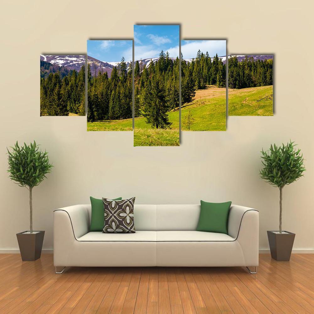 Spruce Forest On The Grassy Hills Canvas Wall Art-5 Star-Gallery Wrap-62" x 32"-Tiaracle