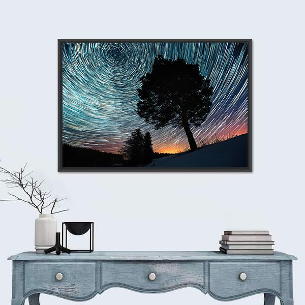 Star Trails And Pine Tree Canvas Wall Art-1 Piece-Floating Frame-24" x 16"-Tiaracle