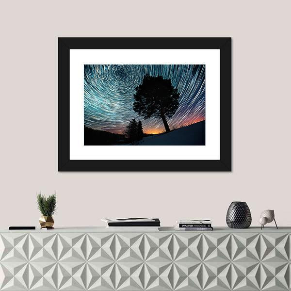 Star Trails And Pine Tree Canvas Wall Art-1 Piece-Framed Print-20" x 16"-Tiaracle
