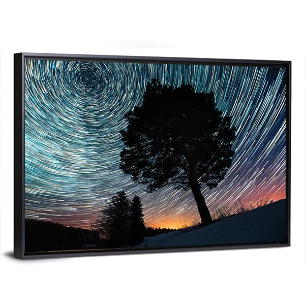 Star Trails And Pine Tree Canvas Wall Art-3 Horizontal-Gallery Wrap-25" x 16"-Tiaracle