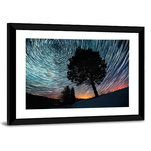 Star Trails And Pine Tree Canvas Wall Art-3 Horizontal-Gallery Wrap-25" x 16"-Tiaracle
