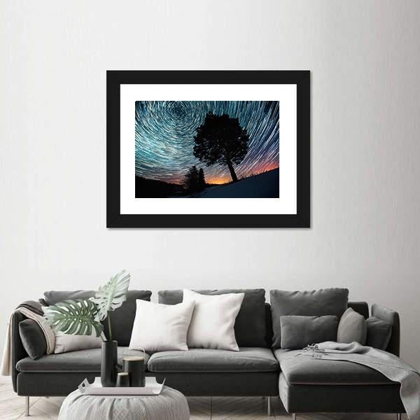 Star Trails And Pine Tree Canvas Wall Art-3 Horizontal-Gallery Wrap-25" x 16"-Tiaracle