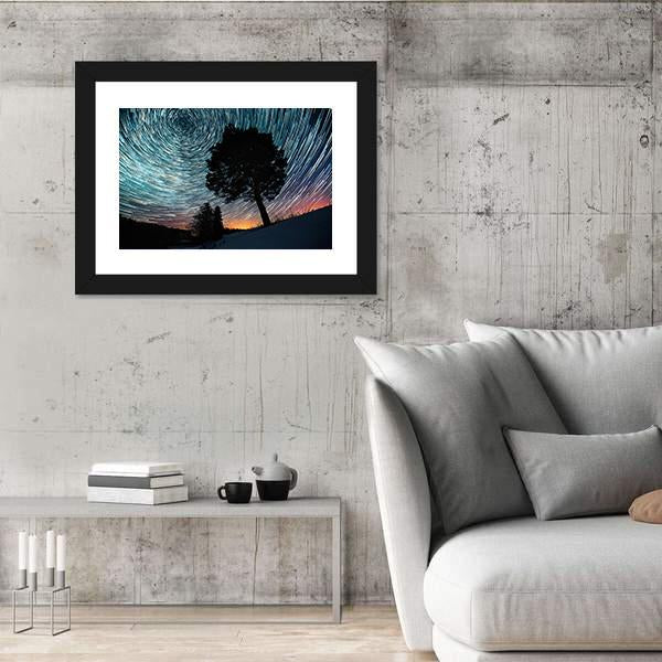 Star Trails And Pine Tree Canvas Wall Art-3 Horizontal-Gallery Wrap-25" x 16"-Tiaracle