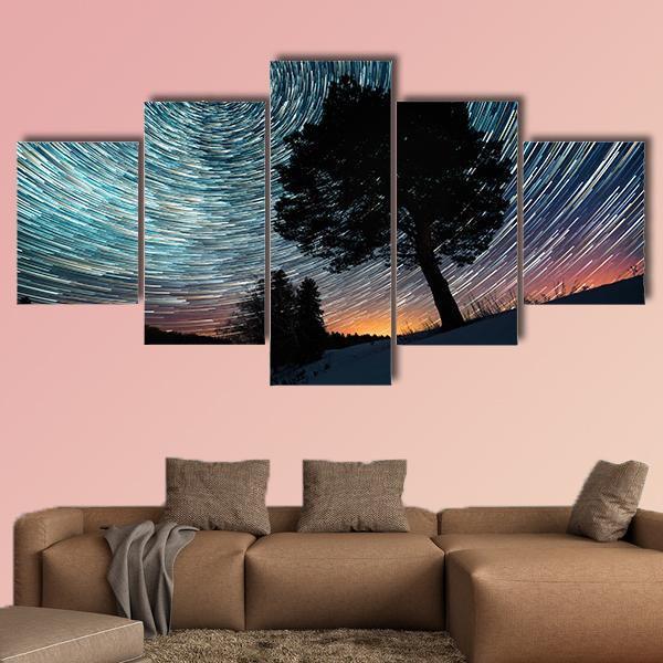 Star Trails And Pine Tree Canvas Wall Art-5 Star-Gallery Wrap-62" x 32"-Tiaracle