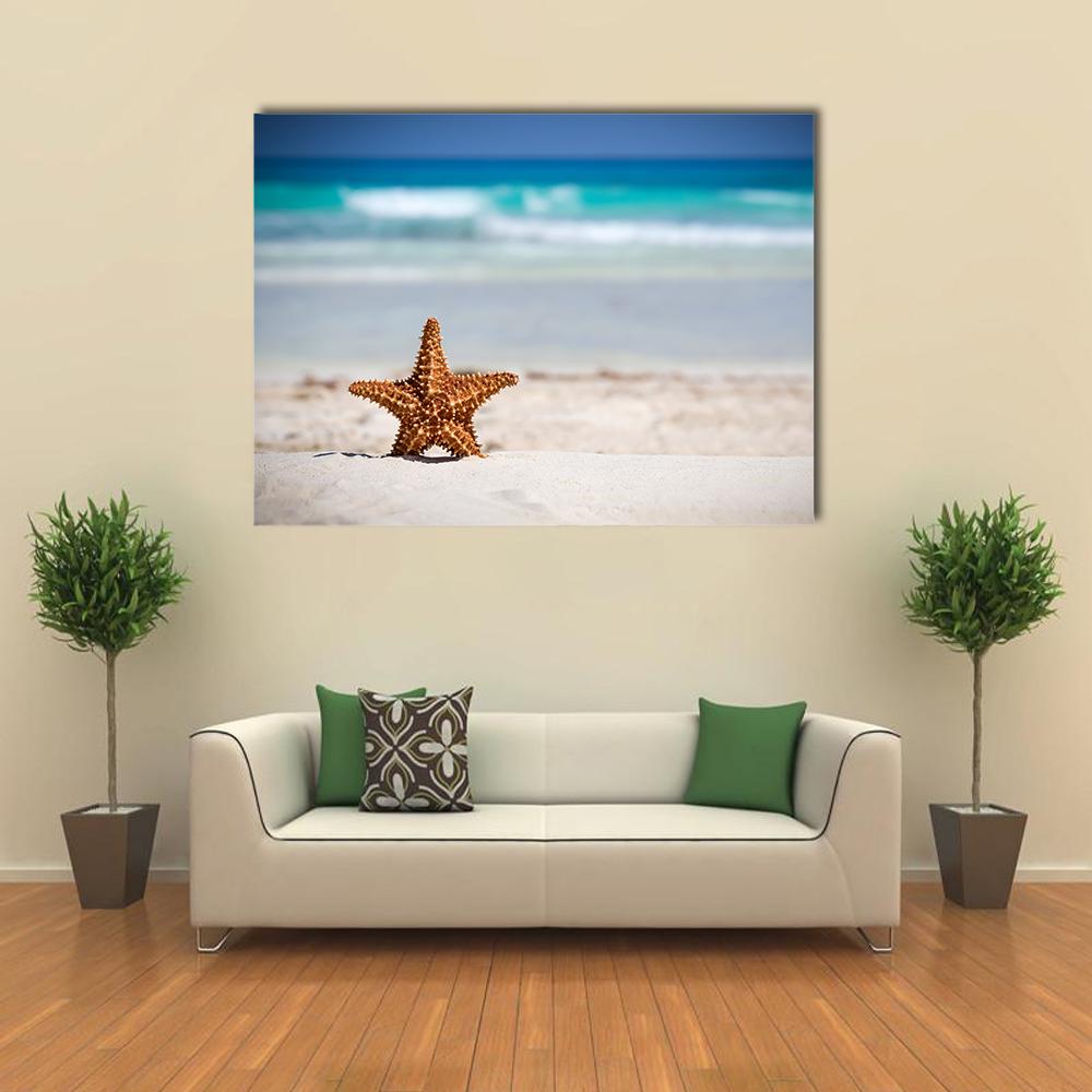 Starfish On Caribbean Sandy Beach Canvas Wall Art-1 Piece-Gallery Wrap-36" x 24"-Tiaracle