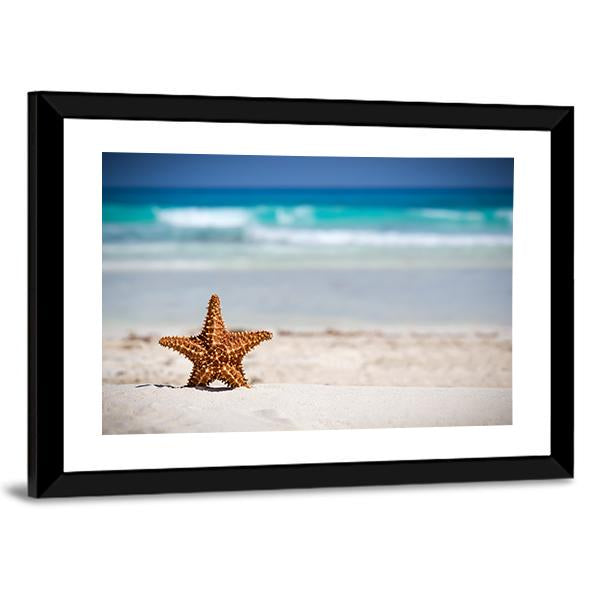 Starfish On Caribbean Sandy Beach Panoramic Canvas Wall Art-1 Piece-36" x 12"-Tiaracle