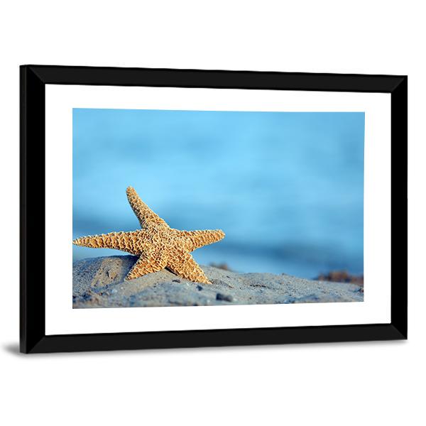 Starfish On Sandy Beach Canvas Wall Art-5 Horizontal-Gallery Wrap-22" x 12"-Tiaracle
