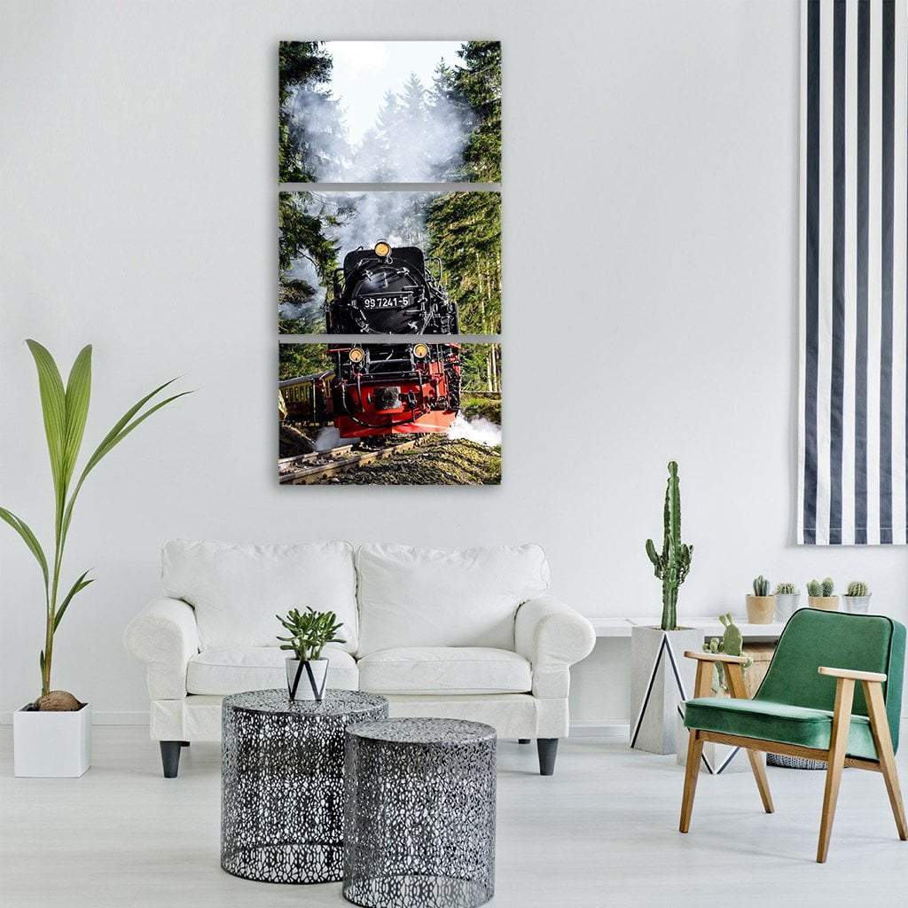 Steam Locomotive In Hungary Vertical Canvas Wall Art-3 Vertical-Gallery Wrap-12" x 25"-Tiaracle