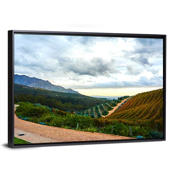 Stellenbosch Town In South Africa Canvas Wall Art-3 Horizontal-Gallery Wrap-25" x 16"-Tiaracle