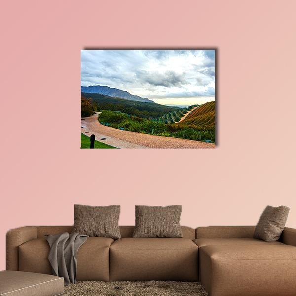Stellenbosch Town In South Africa Canvas Wall Art-1 Piece-Gallery Wrap-48" x 32"-Tiaracle