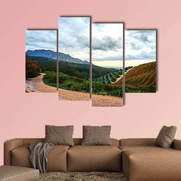 Stellenbosch Town In South Africa Canvas Wall Art-4 Pop-Gallery Wrap-50" x 32"-Tiaracle