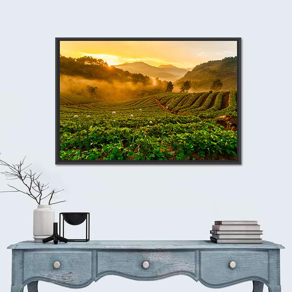 Strawberry Garden At Doi Ang Khang Canvas Wall Art-1 Piece-Floating Frame-24" x 16"-Tiaracle
