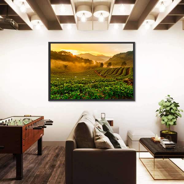 Strawberry Garden At Doi Ang Khang Canvas Wall Art-3 Horizontal-Gallery Wrap-25" x 16"-Tiaracle