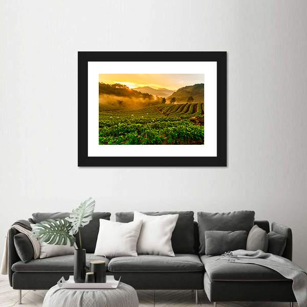 Strawberry Garden At Doi Ang Khang Canvas Wall Art-3 Horizontal-Gallery Wrap-25" x 16"-Tiaracle
