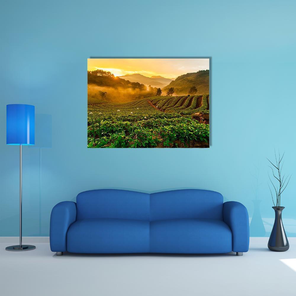 Strawberry Garden At Doi Ang Khang Canvas Wall Art-1 Piece-Gallery Wrap-48" x 32"-Tiaracle