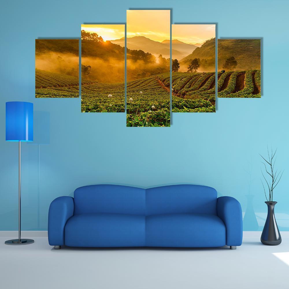 Strawberry Field in Golden Light Canvas Wall Art in gold, yellow and green, 5 panel Star layout hung on a wall